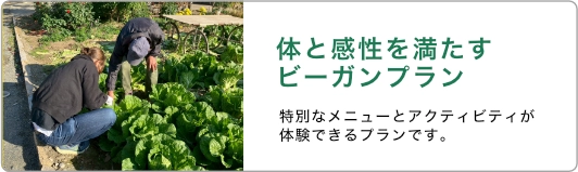 ビーガンプラン